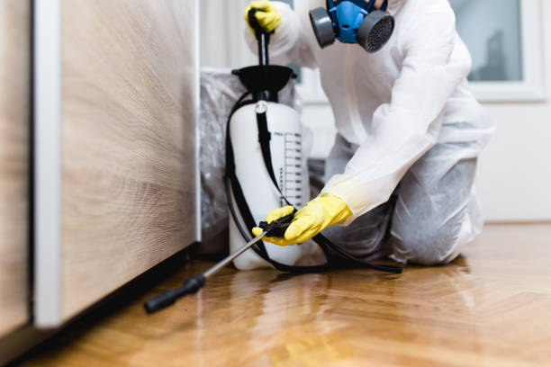Best Mosquito Control Services  in Camp Barrett, VA