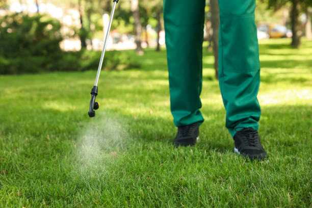 Best Pest Control Near Me  in Camp Barrett, VA