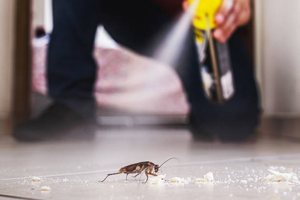 Best Residential Pest Control  in Camp Barrett, VA