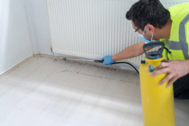 Best Commercial Pest Control Services  in Camp Barrett, VA