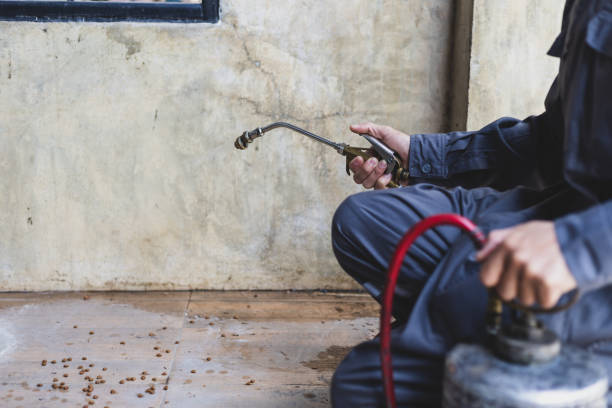 Best Wasp Removal Services  in Camp Barrett, VA